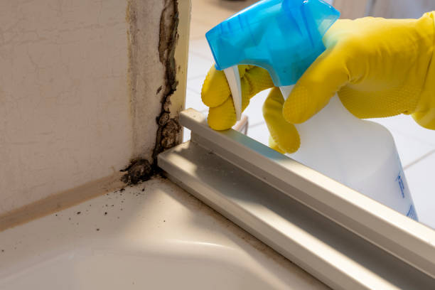 Best Mold Testing  in Augusta, GA